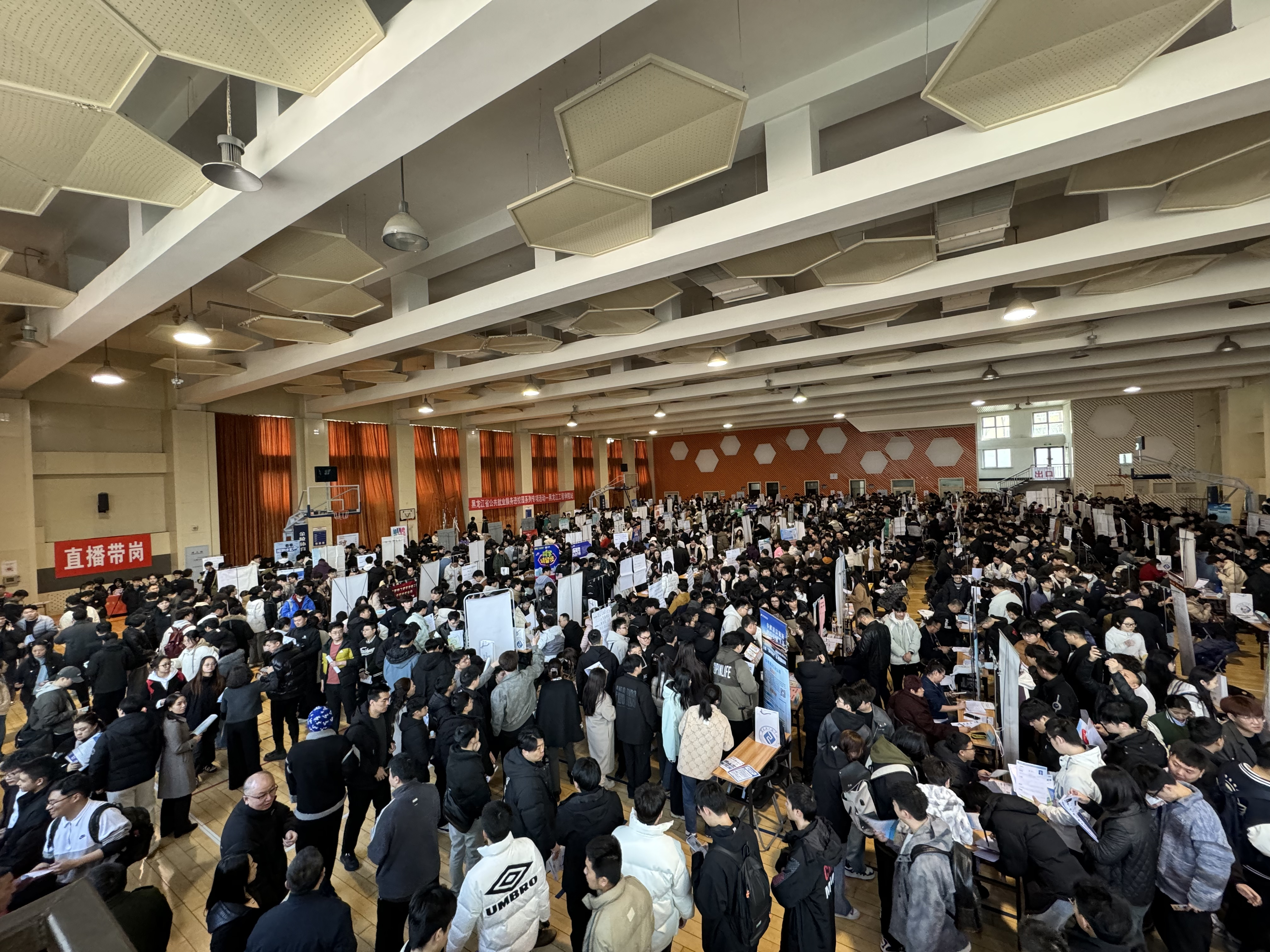 202503201428374007.png 202503201428374007.png