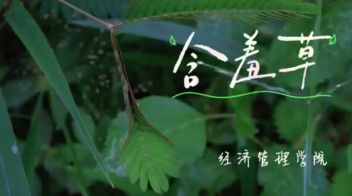 202507071527538230.png 202507071527538230.png